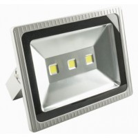 300W (2600W Equiv) LED Low Energy Floodlight - Daylight White