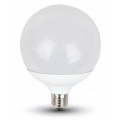 Globe LED Light Bulbs