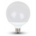 Globe LED Light Bulbs
